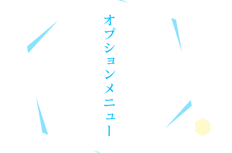 オプションメニュー